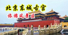 射骚逼网站中国北京-东城古宫旅游风景区